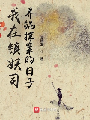 ��������˾����̽��������