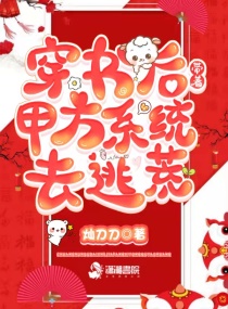 ����󣬴��ż׷�ϵͳȥ�ӻ�