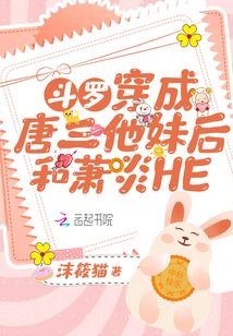 ���ޣ������������ú������HE