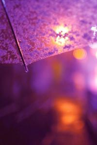 �ۿ��޽��ļ�