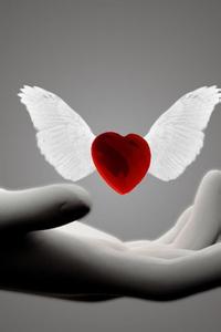 ���������ļ�