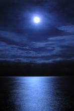 �����ļ�