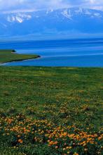 ����ɸ��ļ�