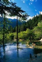 ����ʮ���ļ�