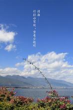 �����޺��ļ�