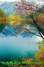 cjz�½����ļ�