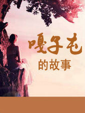 �����͵Ĺ���