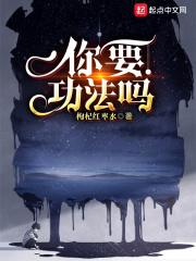 ��Ҫ������