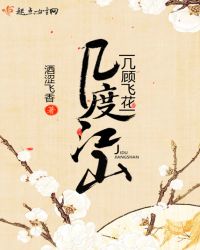 ���Ƚ�ɽ�����˷ɻ�