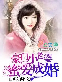 ����С���ţ��۰��ɻ�