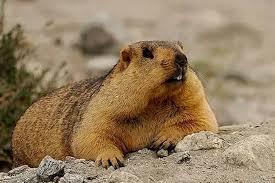 ���ڻ���Ʈ����ô�������ˣ�