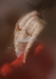 ������ľ(У԰1v1)