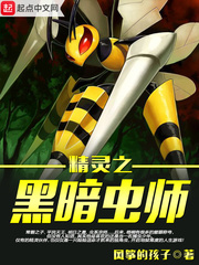 ����֮�ڰ���ʦ