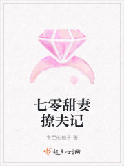 ���������÷��