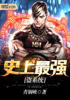 ʷ����ǿ��ϵͳ