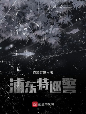 �ֶ���Ѳ��