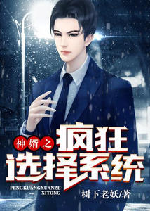 ����֮���ѡ��ϵͳ���ӷ�Ҧѩ