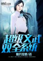 ��������˫ȫϵͳ