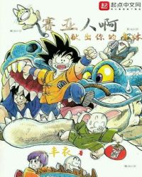 �����˰��׳��������