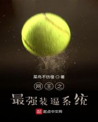 ����֮��ǿװ��ϵͳ