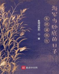 ϵͳ�����ں������Ե׵�����