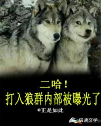 ����!������Ⱥ�ڲ����ع���