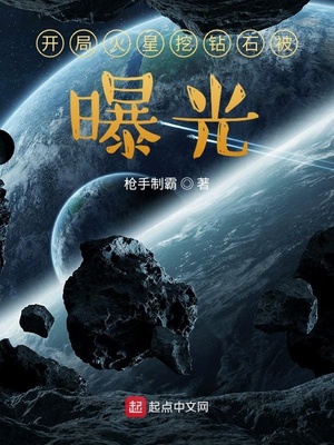 ���ֻ�������ʯ���ع�